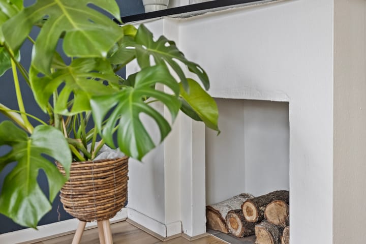 Foto 13 van S.L. Louwesstraat 171