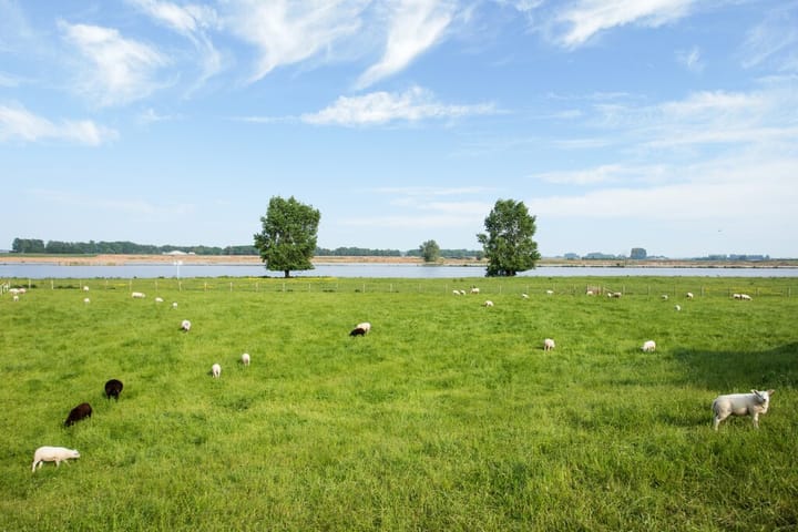 Foto 37 van Filipsstraat 4