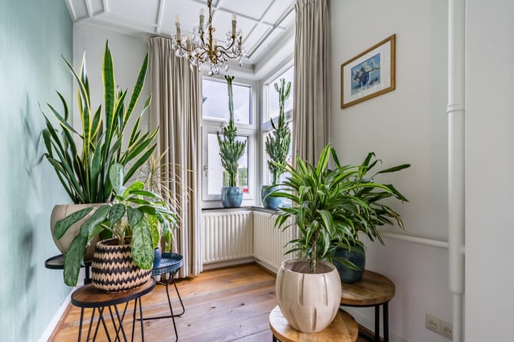 Foto 9 van Eindhovenseweg 58