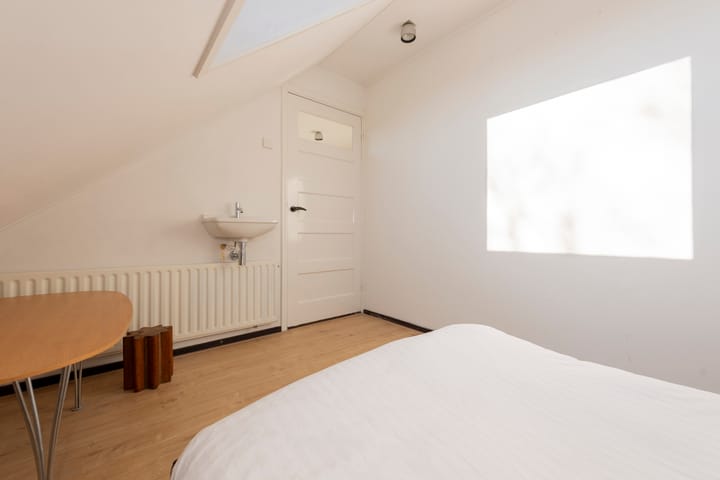 Foto 47 van Philips Vingboonsstraat 19