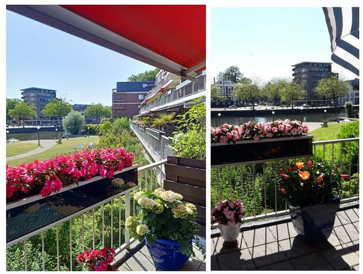 Foto 3 van Westvest 183