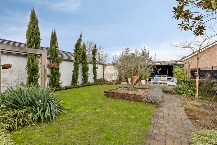 Foto 41 van Heuvel 25