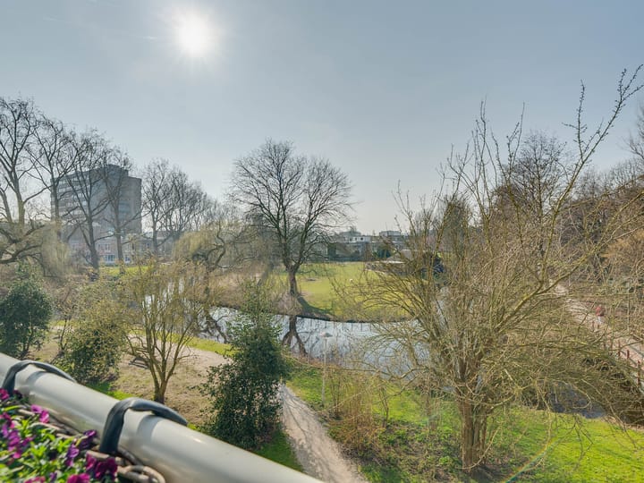 Foto 19 van Jacques Urlusplantsoen 167