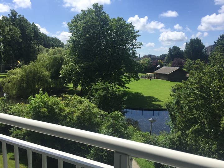 Foto 20 van Jacques Urlusplantsoen 167