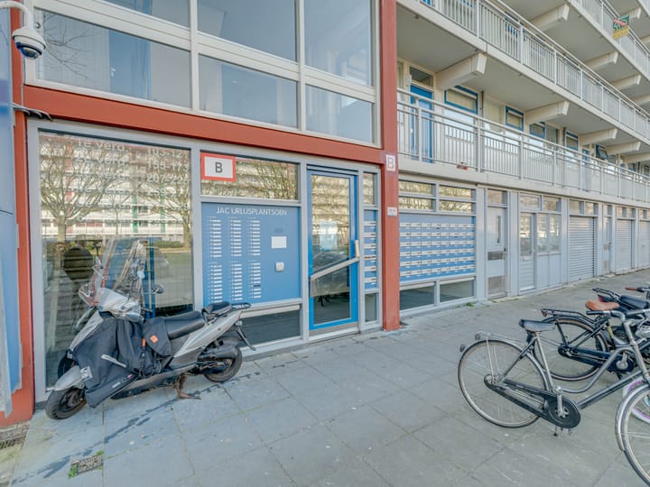 Foto 33 van Jacques Urlusplantsoen 167