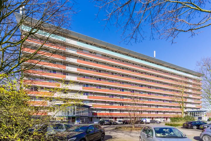 Foto 6 van Raamveld 69