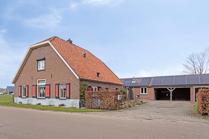 undefined main image