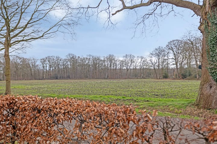 Foto 47 van Wiersseweg 51