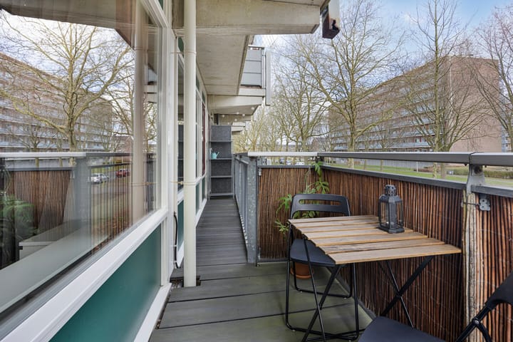 Foto 26 van Straussplein 17