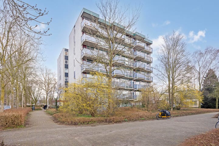 Foto 35 van Straussplein 17