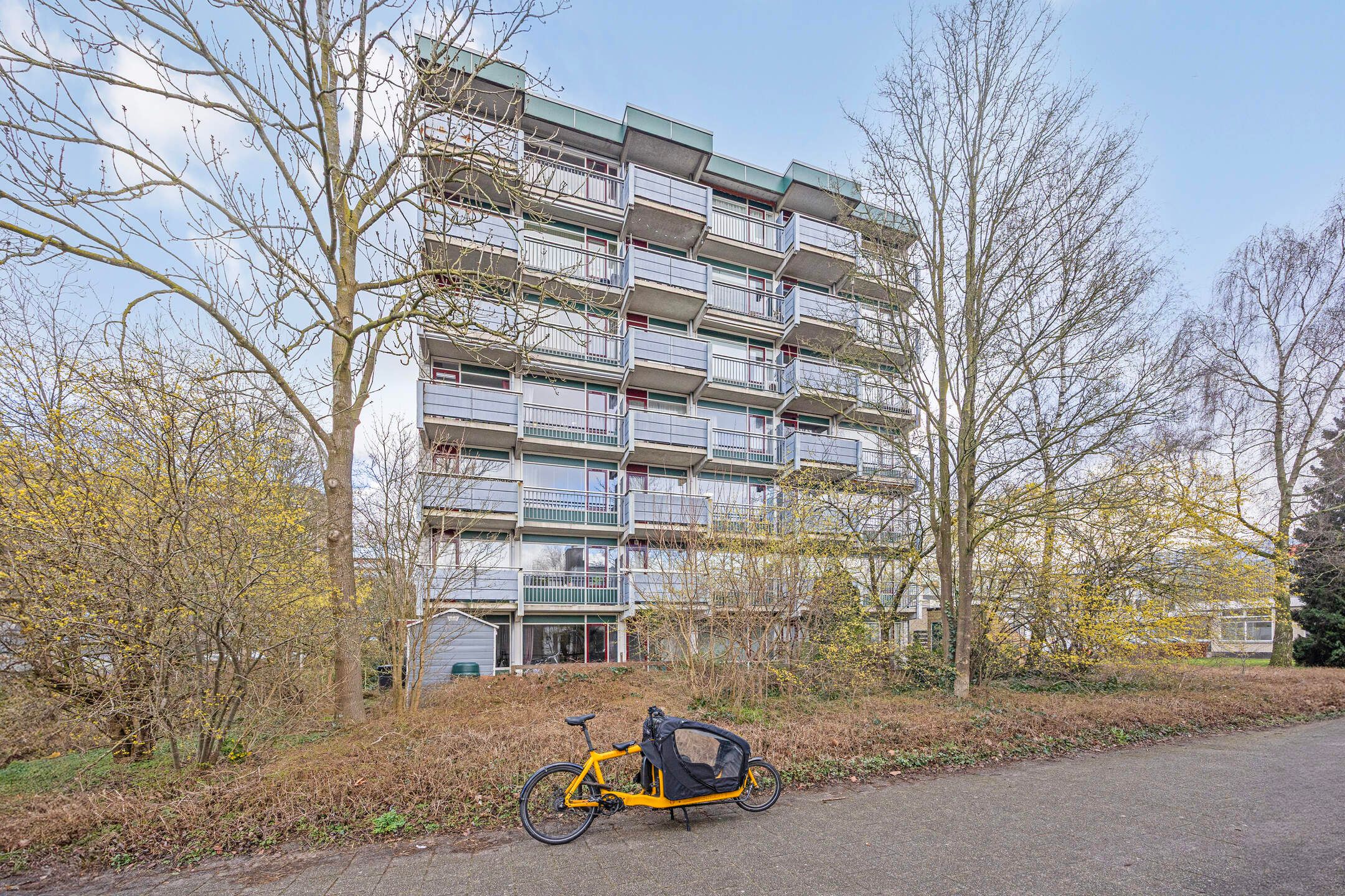 Foto 36 van Straussplein 17