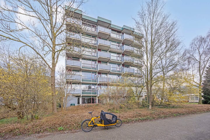 Foto 36 van Straussplein 17