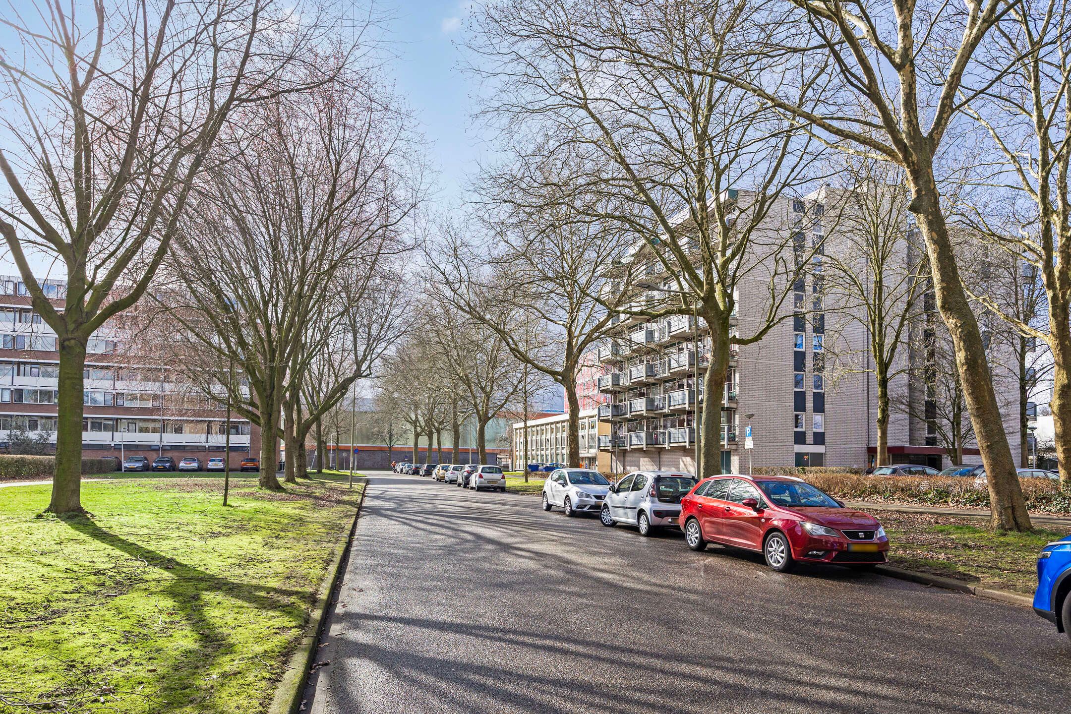 Foto 39 van Straussplein 17