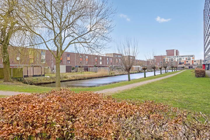 Foto 41 van Straussplein 17