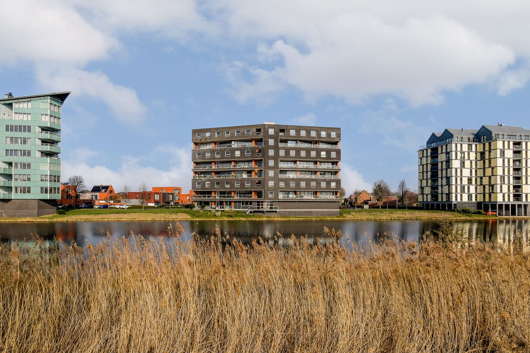 Photo 23 of Puerto Ricostraat 93