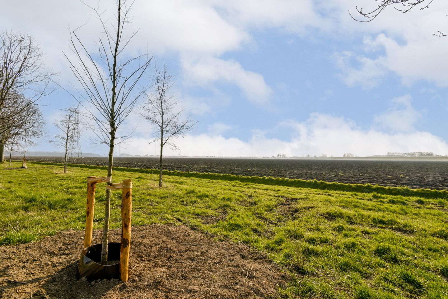 Photo 25 of Puerto Ricostraat 93