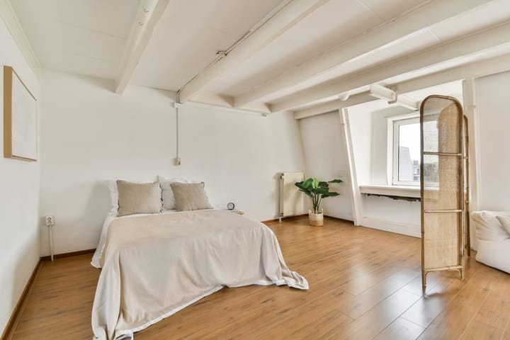 Photo 14 of Lodewijk Tripstraat 24-3