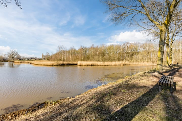 Foto 37 van Waterviolier 146