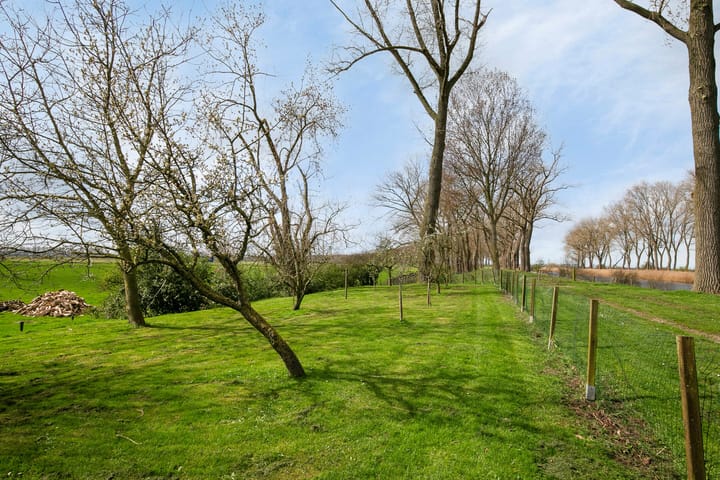 Photo 23 of St. Donaes 1