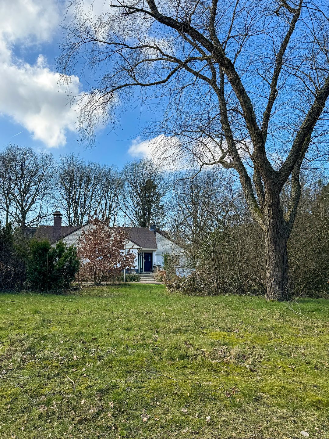 Foto 43 van Groen van Prinstererlaan 34