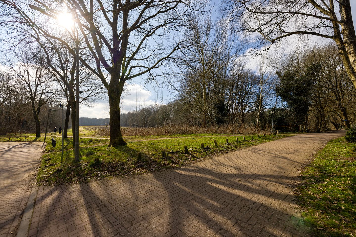 Foto 44 van Groen van Prinstererlaan 34