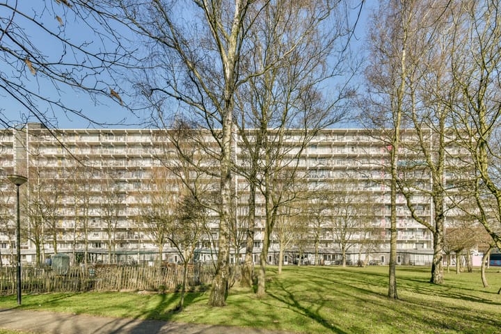 Foto 31 van Hogevecht 117