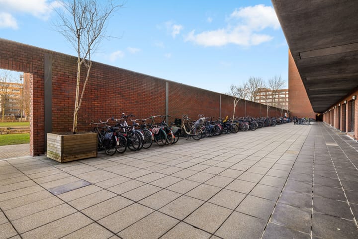 Foto 61 van Bogortuin 191