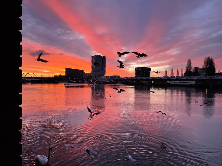 Foto 68 van Bogortuin 191