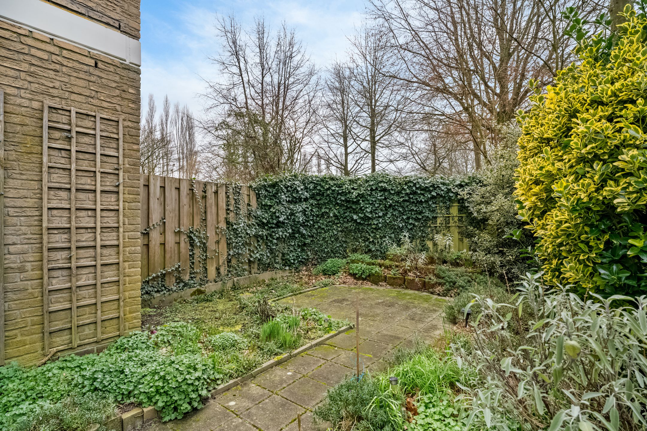 Foto 21 van Curiestraat 8