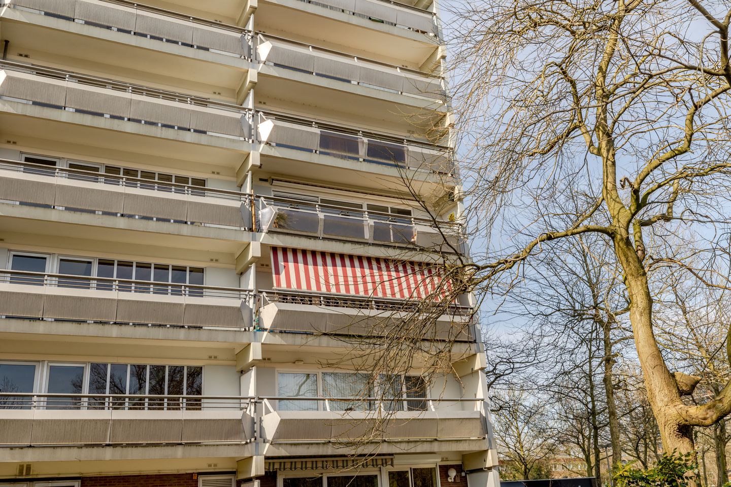 Foto 40 van De Roerdomp 122