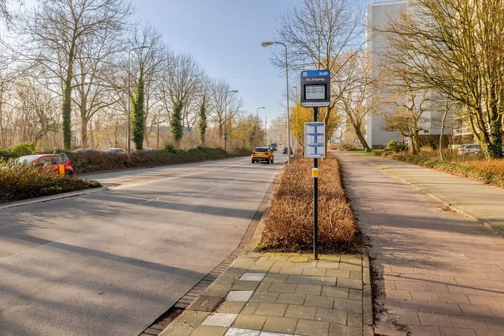 Foto 43 van De Roerdomp 122