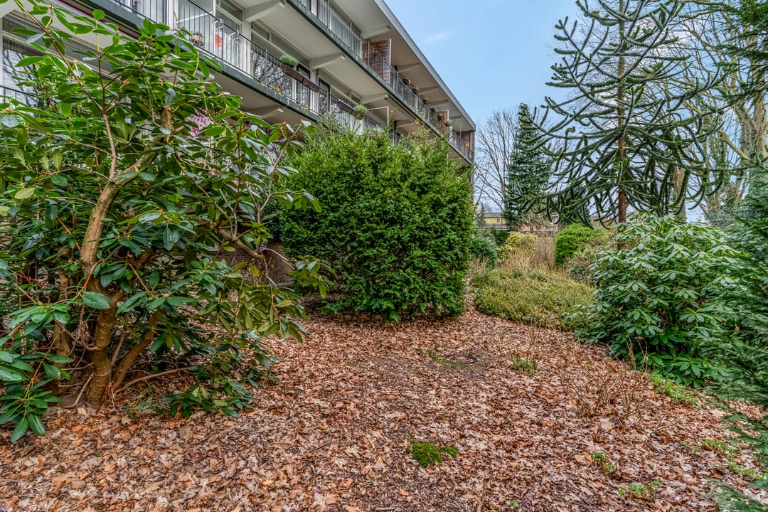 Foto 26 van Sweelincklaan 25