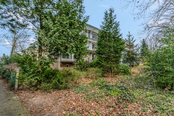 Foto 27 van Sweelincklaan 25