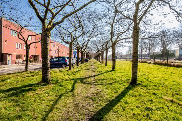 Foto 28 van Siennastraat 25