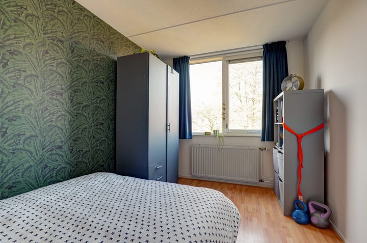 Photo 23 of Iemstukken 18