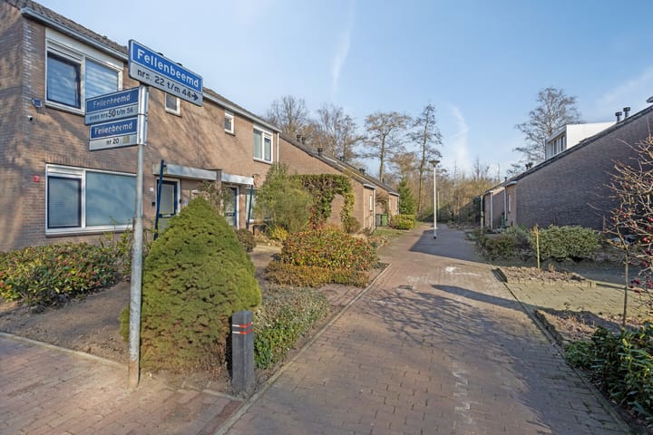 Foto 3 van Fellenbeemd 30