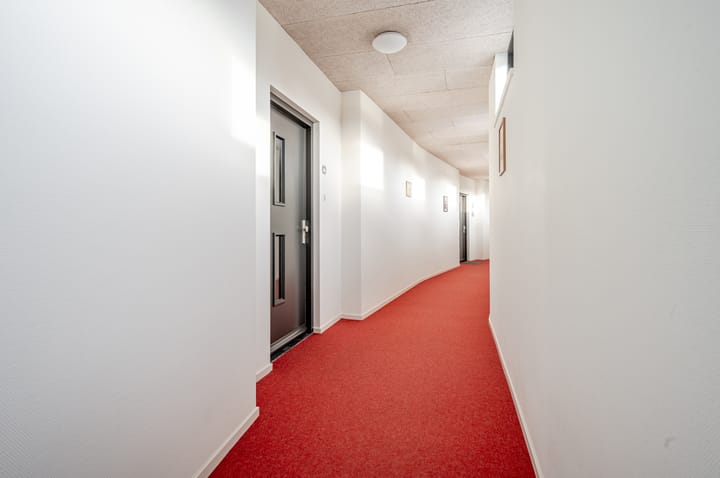 Foto 4 van Hogepad 22