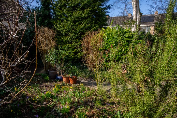 Foto 29 van Uranusstraat 52