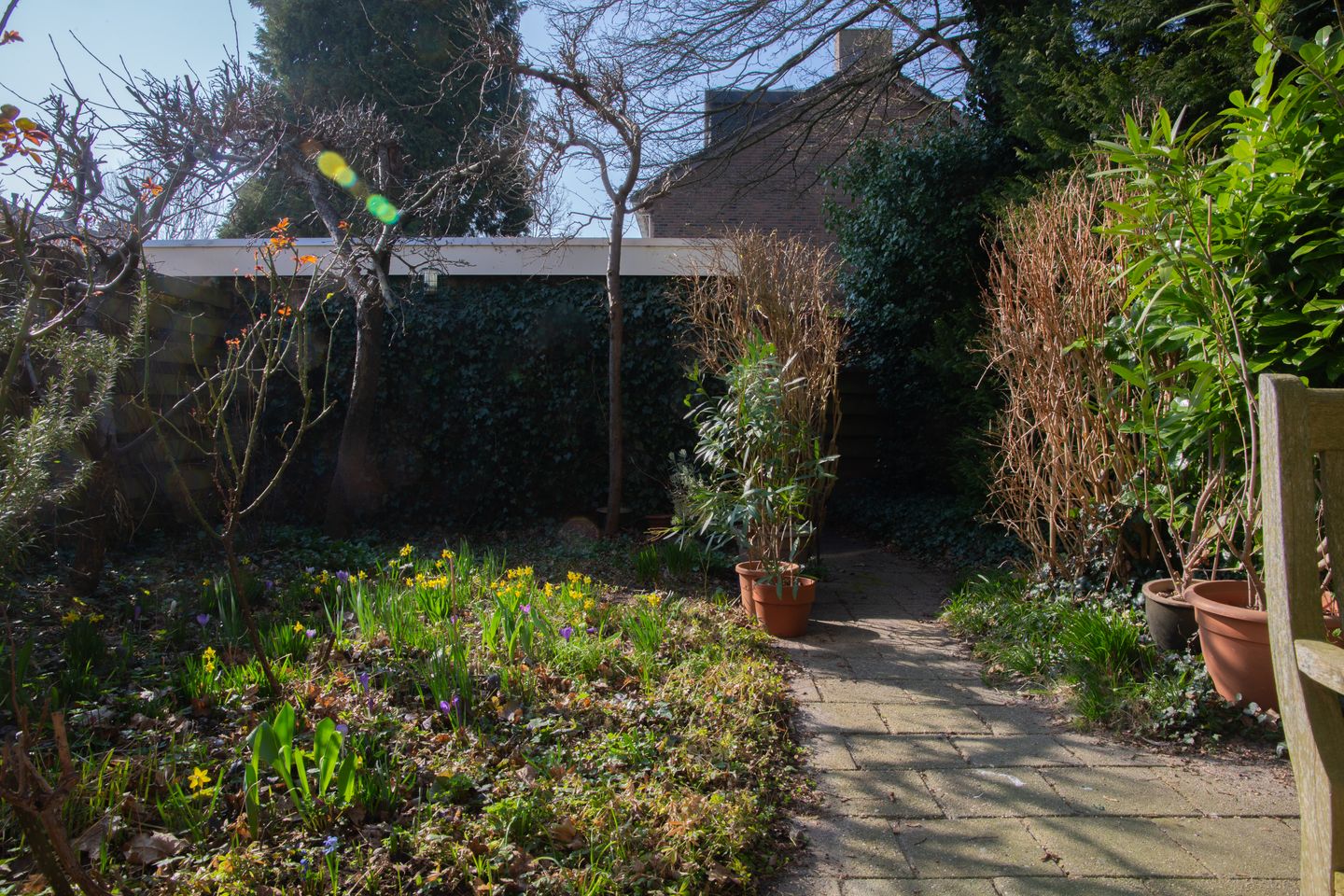 Foto 34 van Uranusstraat 52