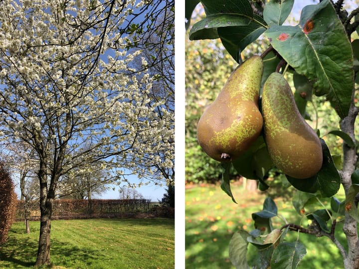 Foto 12 van Dorpsweg 55