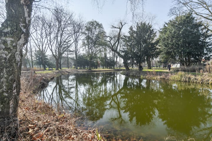 Foto 33 van Nassaustraat 63