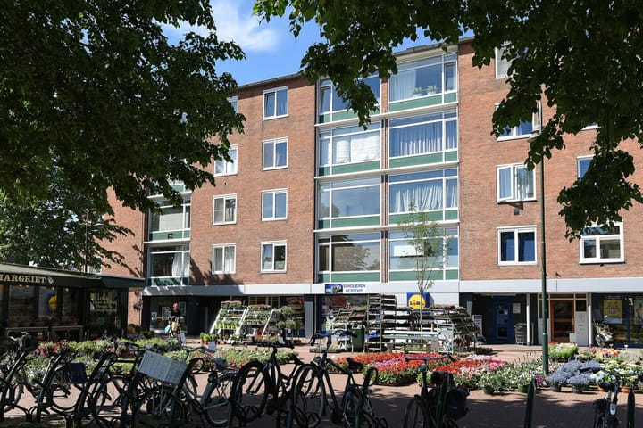 Foto 1 van Laarderweg 250-II