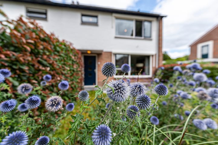 Foto 41 van de Postmeester 14