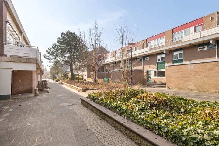 Foto 31 van Boogschutter 30