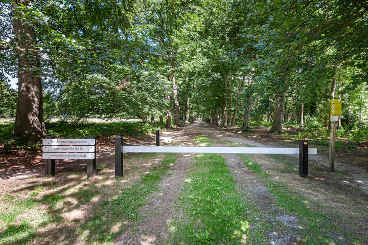 Foto 43 van de Postmeester 14