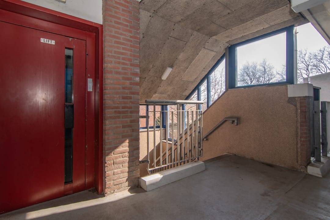 Foto 17 van Peter Zuidhove 95