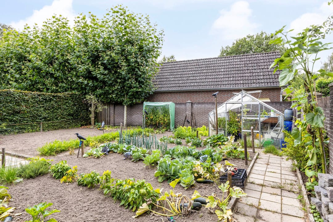 Foto 41 van Kerksedriessen 5