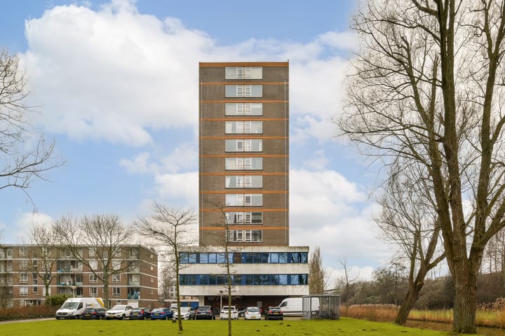 View photo of Maassluisstraat 518