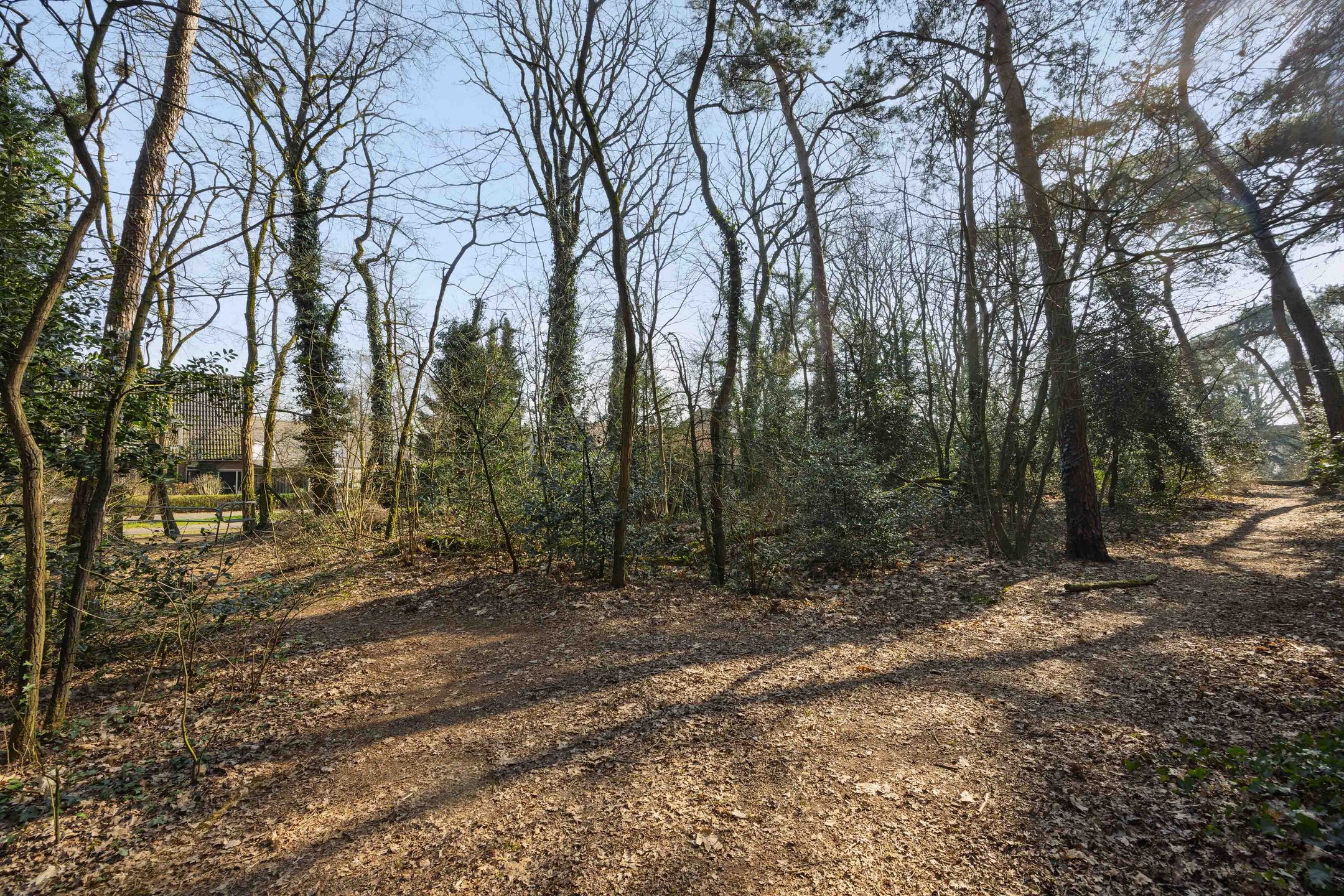 Foto 42 van Twentehof 158