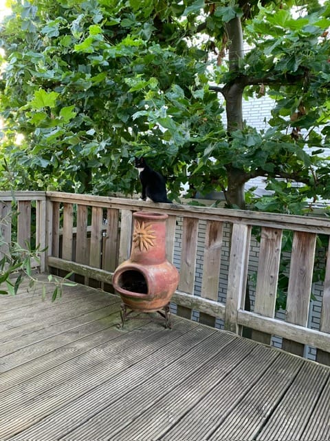 Foto 41 van Dreefplantsoen 14